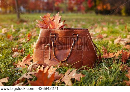 Close Up Of Stylish Brown Leater Handbag In Autumn Park With Red Leaves On Grass. Female Accessories