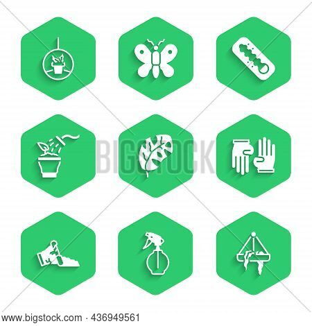 Set Tropical Leaves, Water Spray Bottle, Plant In Hanging Pot, Rubber Gloves, Broken, Spraying Plant