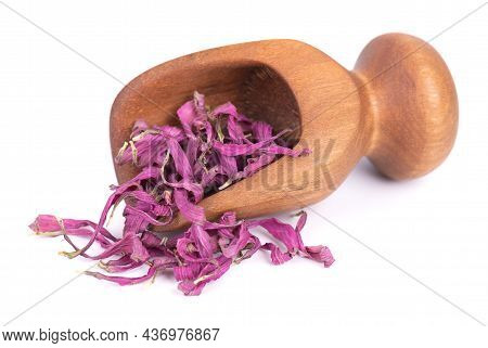 Dried Echinacea Flowers In Wooden Scoop, Isolated On White Background. Petals Of Echinacea Purpurea.