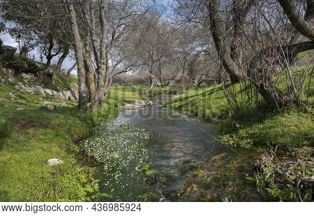 Views Of The Tejada Stream, In The Dehesa Of Navalvillar, Colmenar Viejo, Madrid, Spain
