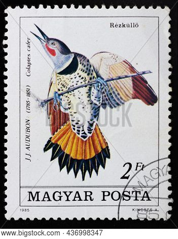 Hungary - Circa 1985: Postage Stamp 'red-shafted Flicker Or Colaptes Cafer' Printed In Hungary. Seri