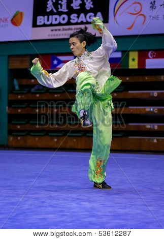KUALA LUMPUR - NOV 03: Lee Yang of Malaysia performs his fighting style in the 'taiji quan' event at the 12th World Wushu Championship on November 03, 2013 in Kuala Lumpur, Malaysia.