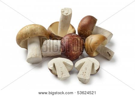 Whole and half Russula mushrooms on white background