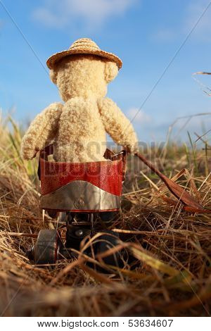 Vehicle Bear