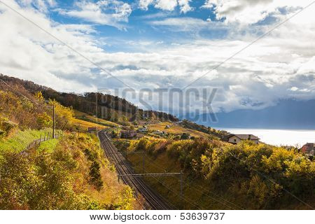 Vineyards In Lavaux Region - Terrasse De Lavaux, Switzerland