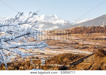 Panorama of Sion vineyards in Switzerland