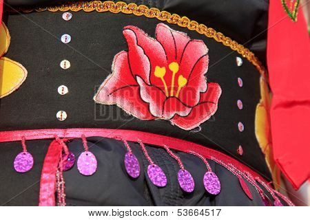 Yangko Dance Costumes Local Feature In China