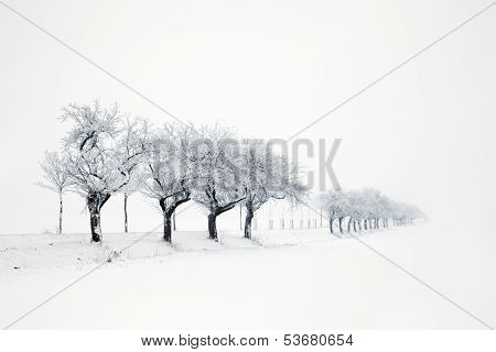 winter landscape
