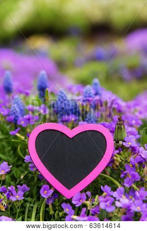 Pink Heart In Front Of Lilacbush And Grape Hyacinth