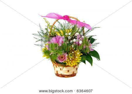 Chrysanthème fleurs