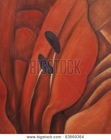 Orange Lily