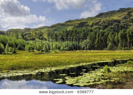 Harrop Tarn