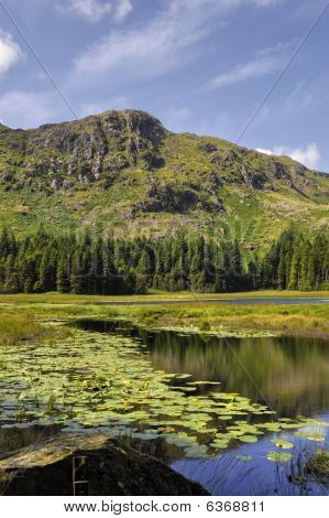 Harrop Tarn