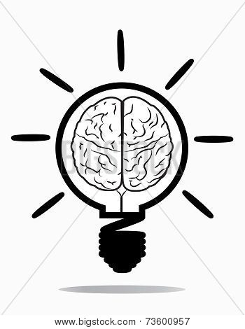 Brain