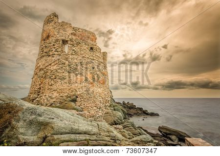 Genoese Tower At Erbalunga On Cap Corse In Corsica