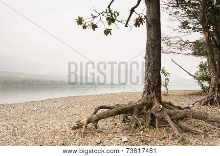 Misty Coniston Water