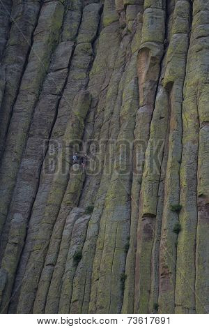 Climbing Devils Tower