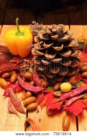 Autumn Decoration