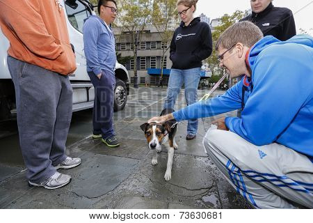 Making new friends