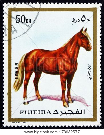 Postage Stamp Fujeira 1972 Horse, Domestic Animal
