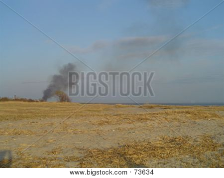 Ogień na plaży