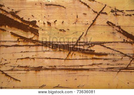 Rusty Construction Vehicle Texture