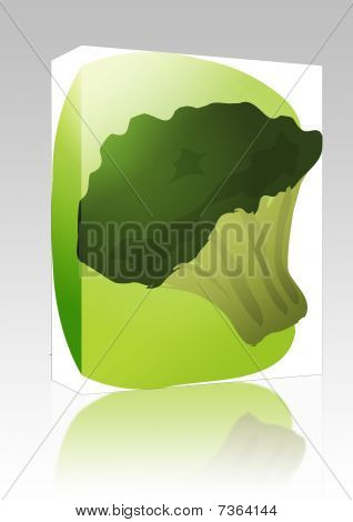 Brocolli ilustração caixa pacote