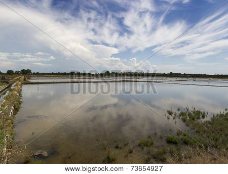 Salt Fields Nin