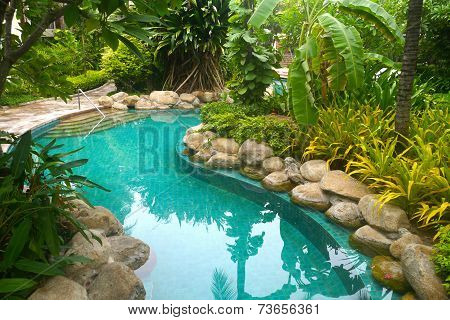 Swimming Pool With Garden Decoration