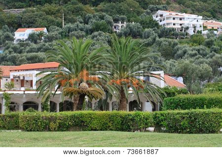 Milocher City In Montenegro. Kings Park