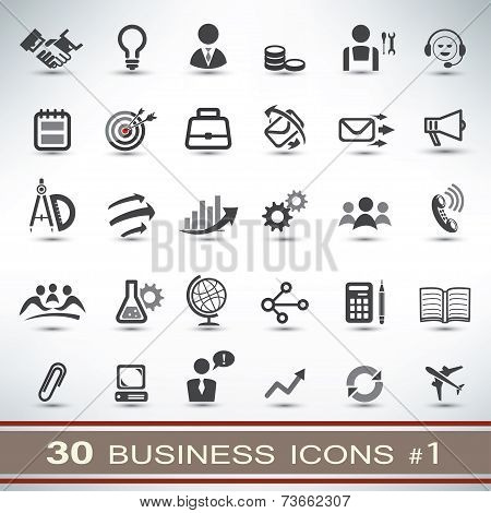 30 Business Icons Set