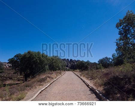 Gravel Road Into Forest