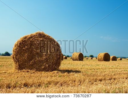 Stack Hay Village Field