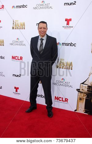 LOS ANGELES - OCT 10:  Yancy Arias at the 2014 NCLR ALMA Awards Arrivals at Civic Auditorium on October 10, 2014 in Pasadena, CA
