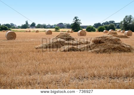Nach der Ernte