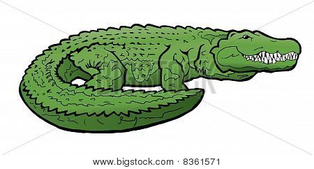 Vektor Alligator illustration