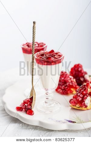 pannacotta  with pomegranate jelly anate syrup