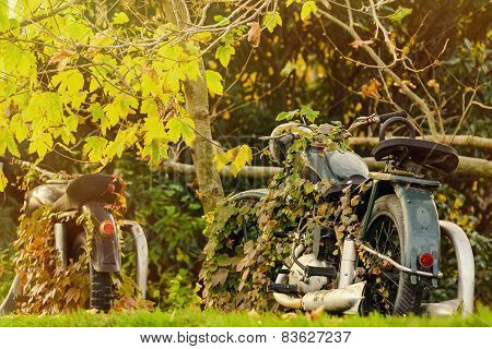 Motorcycle