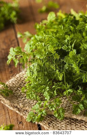 Raw Organic French Parsley Chervil