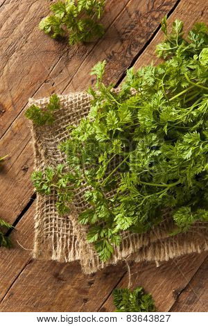 Raw Organic French Parsley Chervil