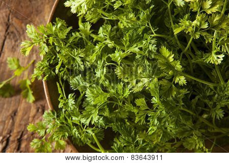 Raw Organic French Parsley Chervil
