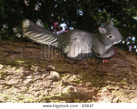 Eichhörnchen In einem Baum