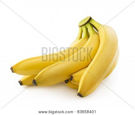 Bunch of fresh spotless yellow bananas