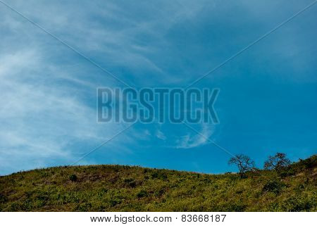 Araku Valley Scenic View