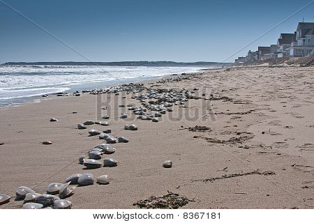 Seashells on Ogunquit Beach with Waves and Sky