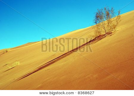 Wadi Rum