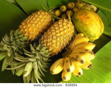 Sri Lankas tropiske frugter