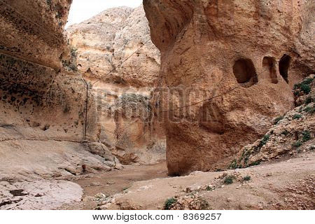 Rocce