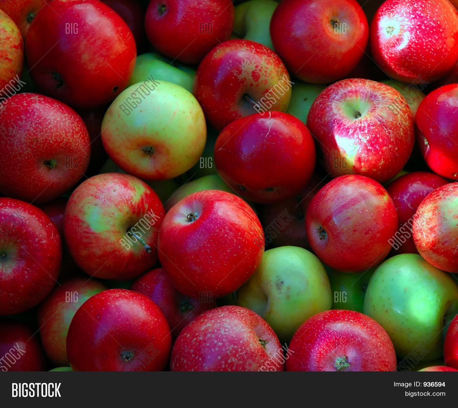 Winesap Apples Image & Photo (Free Trial) Bigstock