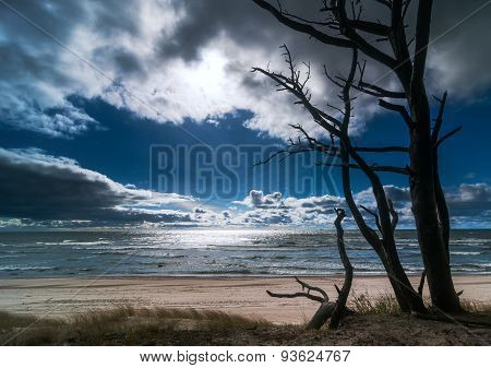 Guardians of the Baltic sea